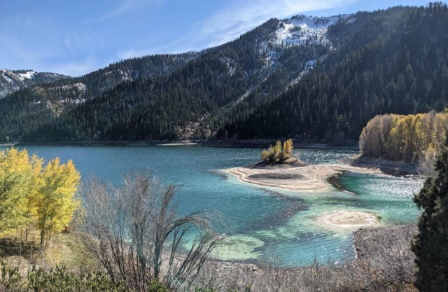 *New Listing* Woodland Chalet ~ Outdoor Adventures