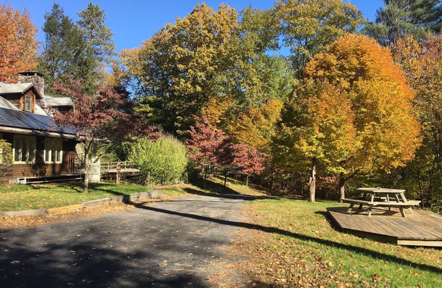 NEW LISTING Woodstock secluded mountain retreat with beautiful pool and sauna.