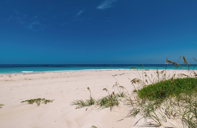 New Luxury Beachfront Bungalows w/Heated Pool, Pink-Sand Beach
