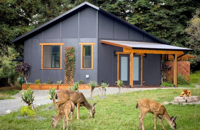 New, modern, close to town, country-feel
