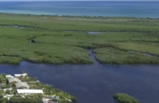 New oceanside Florida Keys canal home with pool minutes from the ocean Key Largo