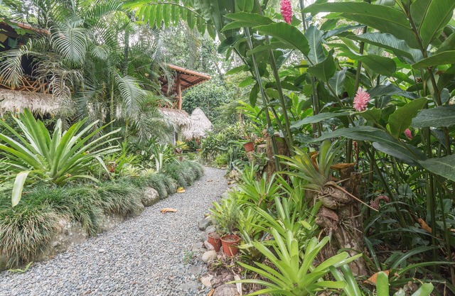 Dschungelleben vom Feinsten! Schlafmöglichkeiten für 2-9 Personen in der von Caribe am meisten gewünschten Gegend.