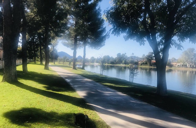 Neu! Markante McCormick Lake Eigentumswohnung im Herzen des Resort- und Unterhaltungsviertels