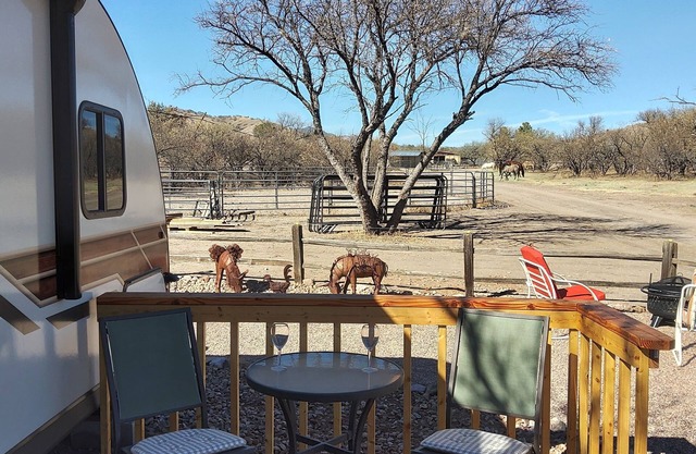 New Vintage Trailer on 40 acre horse ranch close to wineries and fun outings.