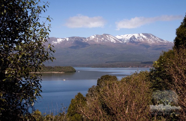 Neue White Water Lodge in Turangi