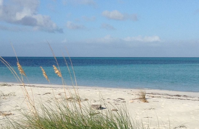 New Beachside Home, Schlafmöglichkeiten für 6: FREE Kayak, Fahrräder, PADDLE: 2 min. zu Fuß zum Strand