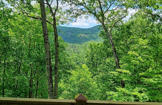 Newly remodeled 3-bedroom house with private hot tub, in welcoming Lake Toxaway.