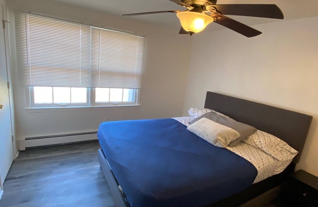 Newly Remodeled Glamorous and Modern Apartment