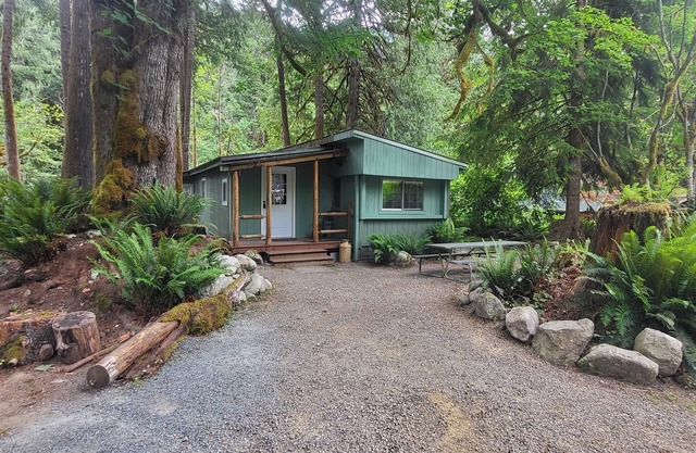 Newly remodeled off grid river cabin with full services including WiFi