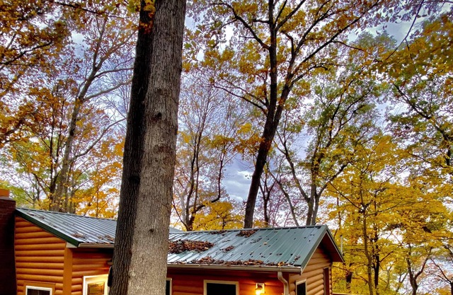 Newly renovated cabin nestled off the beaten path
