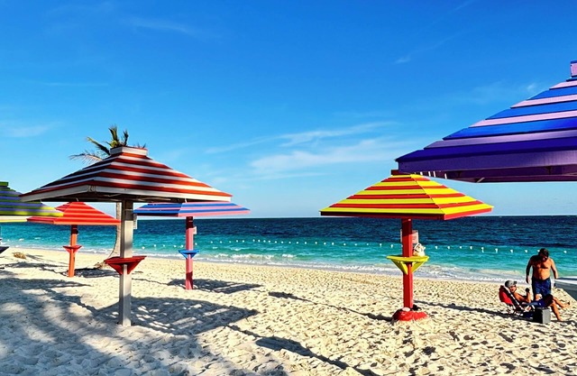 Newly renovated cozy 1-bedroom beachfront condo in Freeport