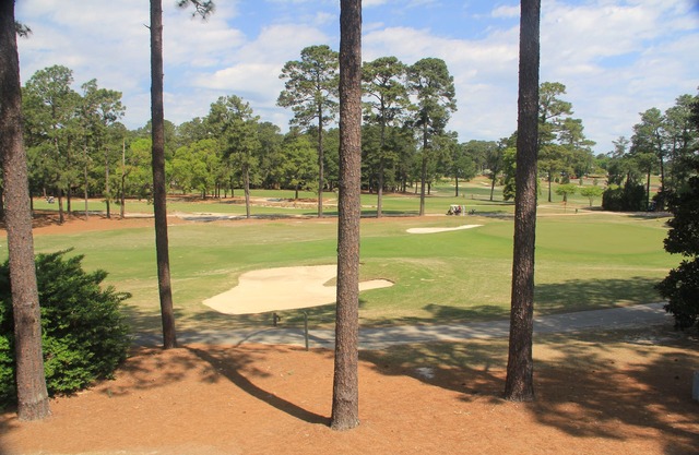 Newly Renovated, Exceptional Golf Front, Walk to Clubhouse & Cradle, 2 BR 2 BA.