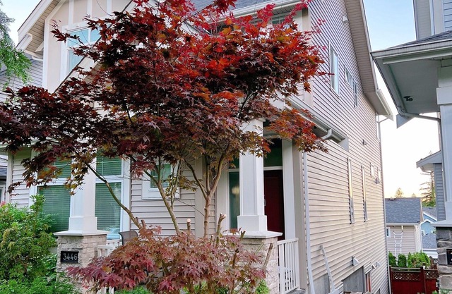 Newly Renovated Private Entrance Guest Suite - 2 bedroom