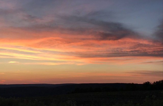 Newly Renovated Rustic Cabin w/WiFi in the Heart of the Finger Lakes