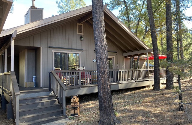 Newly updated cabin under the tall pines 🌲 Uncle Buck’s Cabin 🦌