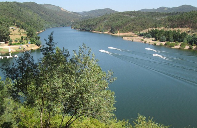 Weiter Castelo do Bode, Foz da Ribeira de Alge mit Rio Zêzere, Haustier