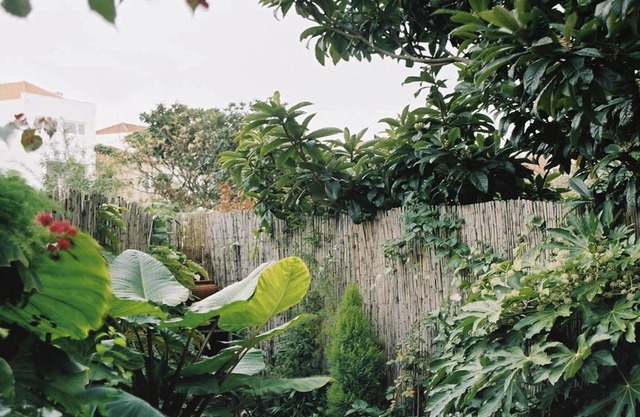 Schöne und ruhige Wohnung mit privatem Garten. Porto Zentrum!