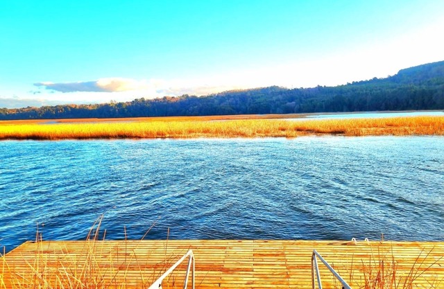 Nice apartment Isla Teja, Valdivia with dock, direct access to the Cruces river.
