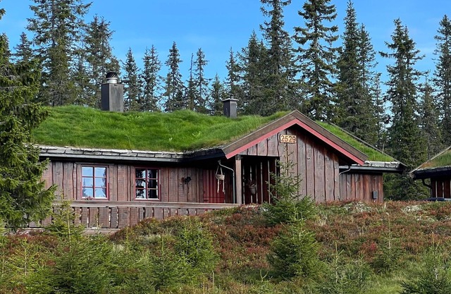 Schönes Haus in Sjusjøen mit Sauna