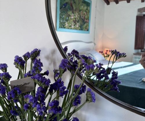 Nido di Rondine di Monteverdi Marittimo, Borgo di Canneto,