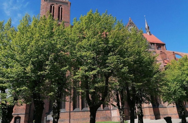NikolaiTraum in der Altstadt - ebenerdig - ABC295 - NikolaiTraum - barrierefrei