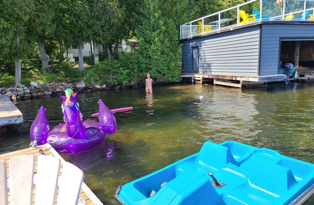 Ufergegend-Häuschen in Haliburton County