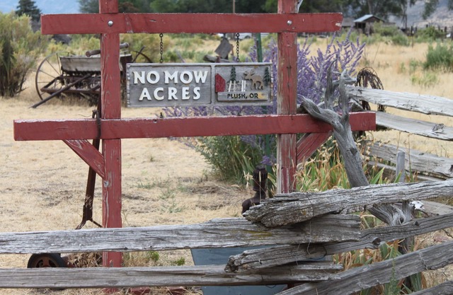 No Mow Acres / In der Oregon High Desert gelegen