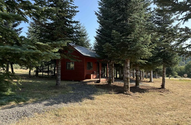 Noble Forest Cabin