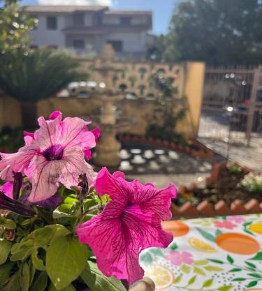 Nonna Ciccina’s House