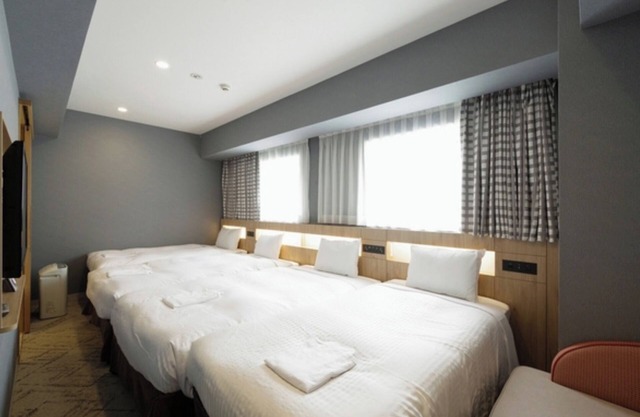 Nonsmoking Deluxe Twin Room only Standard p / Fujisawa Kanagawa