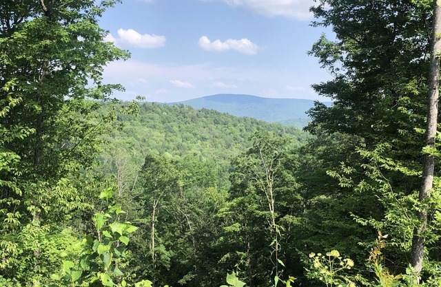 Northfield Cabin with View