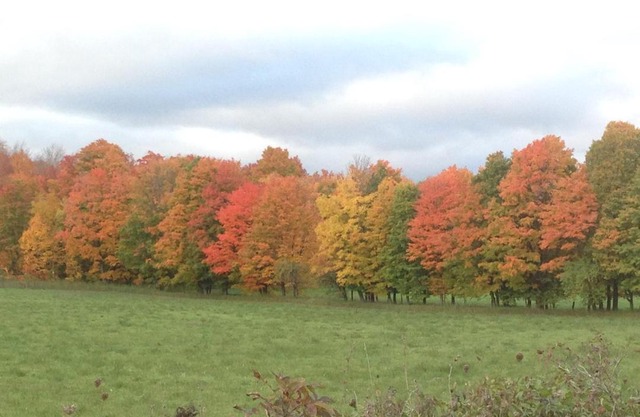 Nottawasaga Hideaway Bed and Breakfast