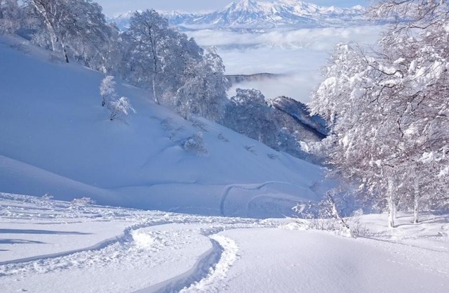 Nozawa Dream Central