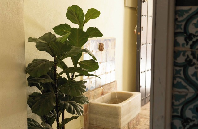 Nueva Casa Boutique en el Centro de Sevilla