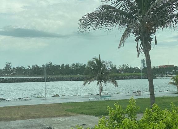 NUEVO Depto vista al mar.