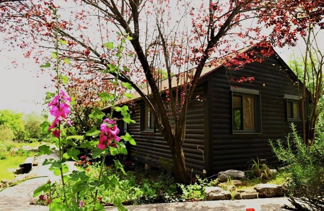Numa Emek-Countryside Guesthouse in Yokneam Moshava