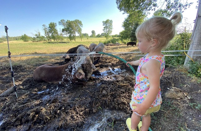 O'Halloran House-Feathered Acres Learning Farm & Inn