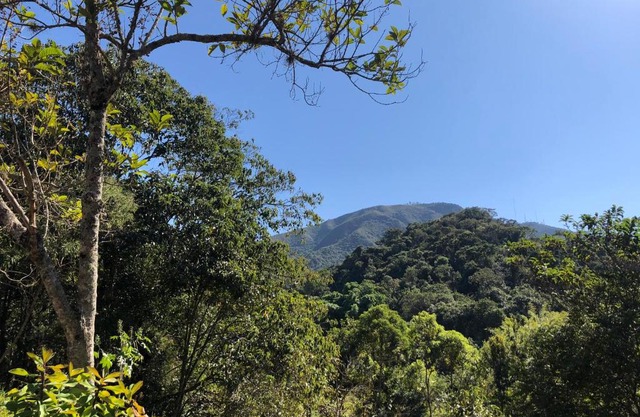 O Silêncio que Canta