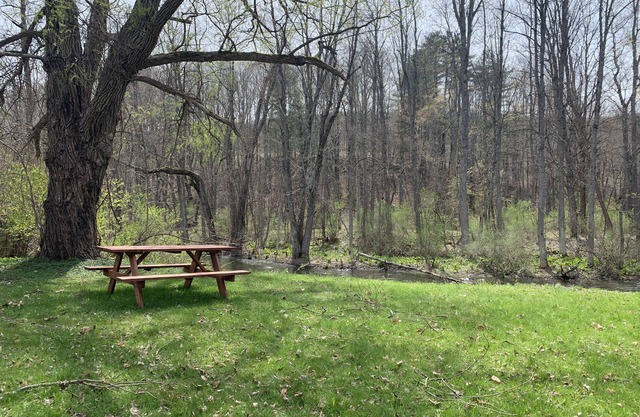 ⭐️Oaks Creek Manor⭐️NEW Listing⭐️ON Oaks Creek Sleep7
