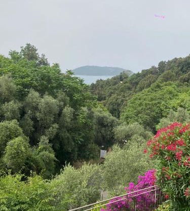 Oasi Verde 1