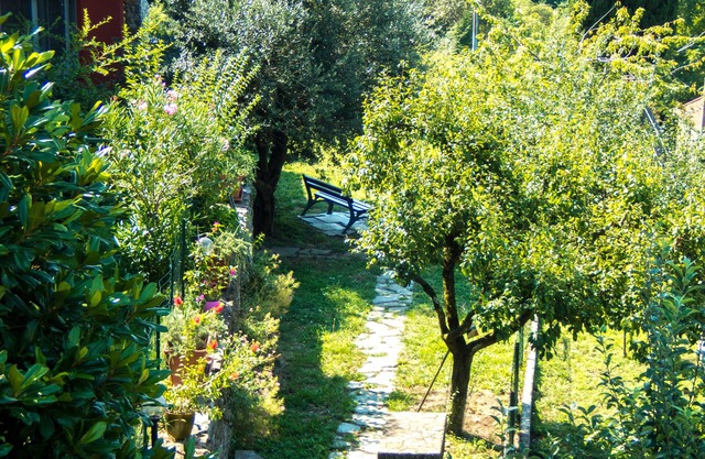 Oasi Verde