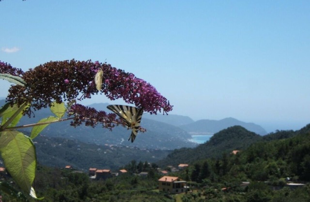 Oase der Entspannung zwischen Hügel und Meer! Zwischen Portofino und den Cinque Terre