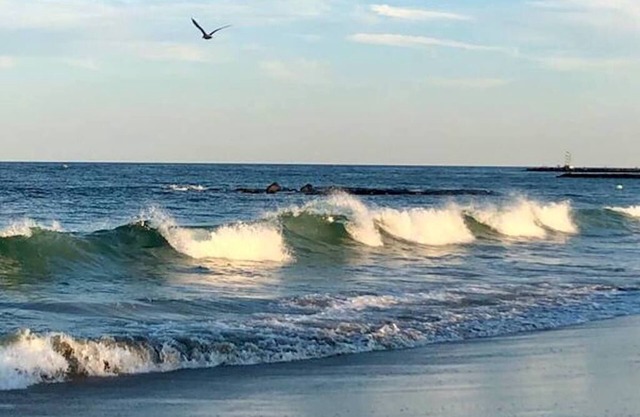 Ocean Ave Beach Retreat in Belmar