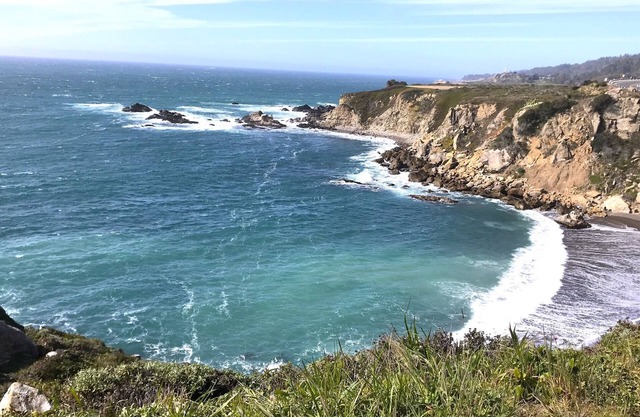 Ocean Bluff Serenity Whale Path Sonoma Coast