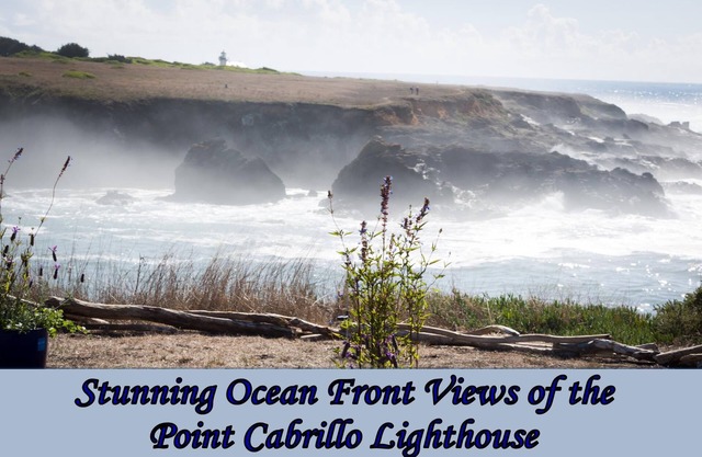 Ocean Dreams - Gorgeous Ocean Front Haus mit herrlichem Blick