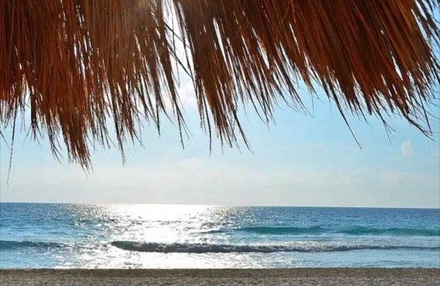 Ocean Front Roomy Caribbean Condo