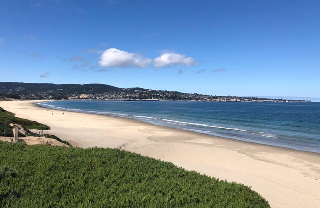 Ocean Harbor 312 - Monterey Condo - Beachfront Monterey Bay