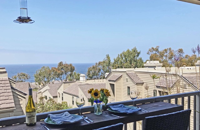 Ocean, sunset views, penthouse 2 bedrooms condo, steps to beaches and village.