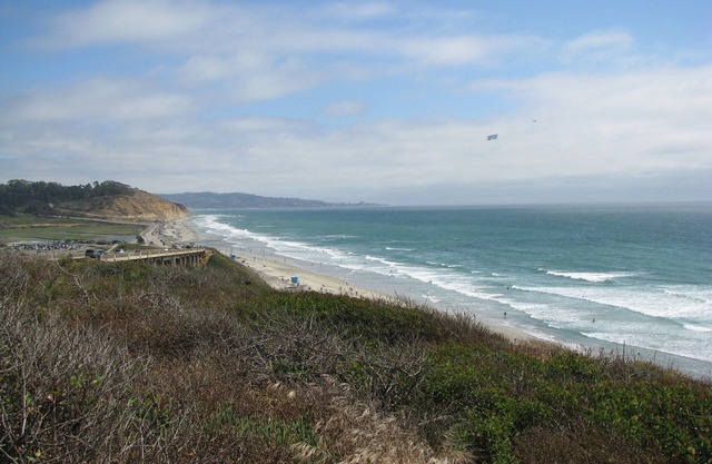 Ocean View in Torrey Pines Beach Del Mar