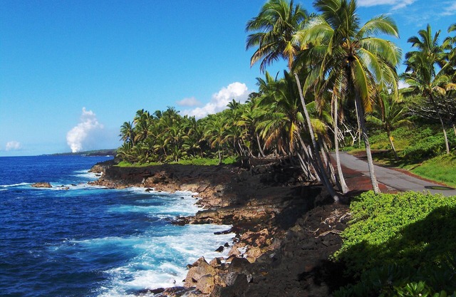 Erleben Sie Hawaii auf einem 3 Hektar großen Botanischen Garten